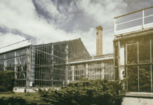 Gdzie uprawia się rzadkie gatunki roślin w Poznaniu