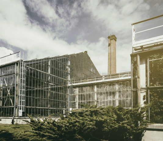 Gdzie uprawia się rzadkie gatunki roślin w Poznaniu