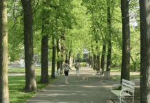 Historia Parku Wilsona