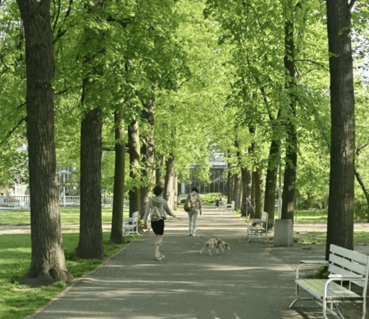Historia Parku Wilsona
