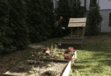O projekcie ekologicznym dla przedszkoli