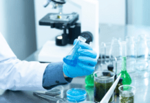 O dwóch młodych naukowcach z Poznania: siły napędowe innowacji w biologii genomu