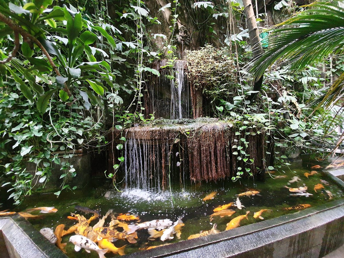 Palmiarnia Poznańska — Park
