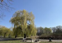 Park im. Jana Pawła II