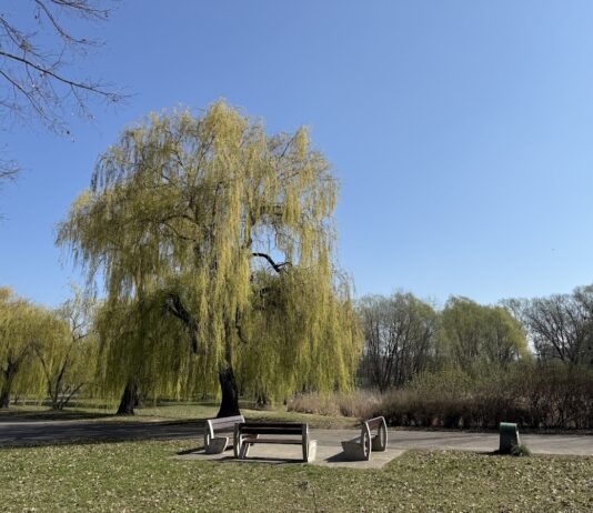 Park im. Jana Pawła II