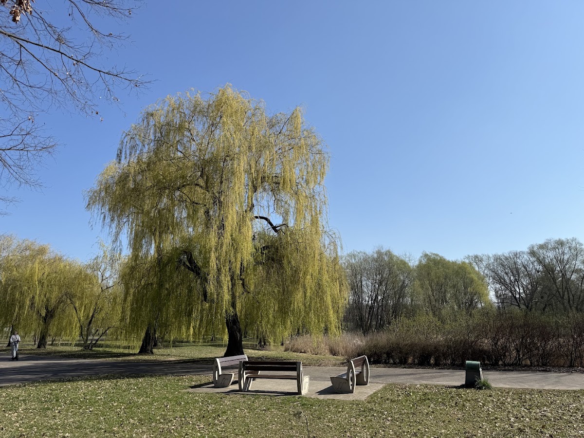 Park im. Jana Pawła II — Park