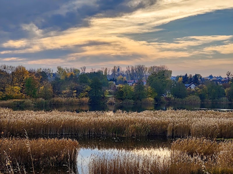 Szachty