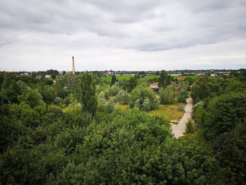 Szachty