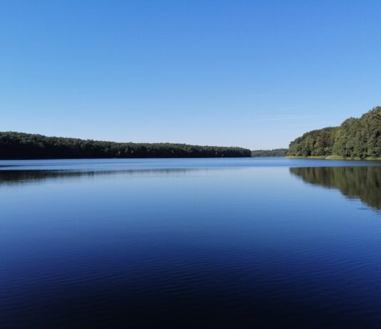 Wielkopolski Park Narodowy