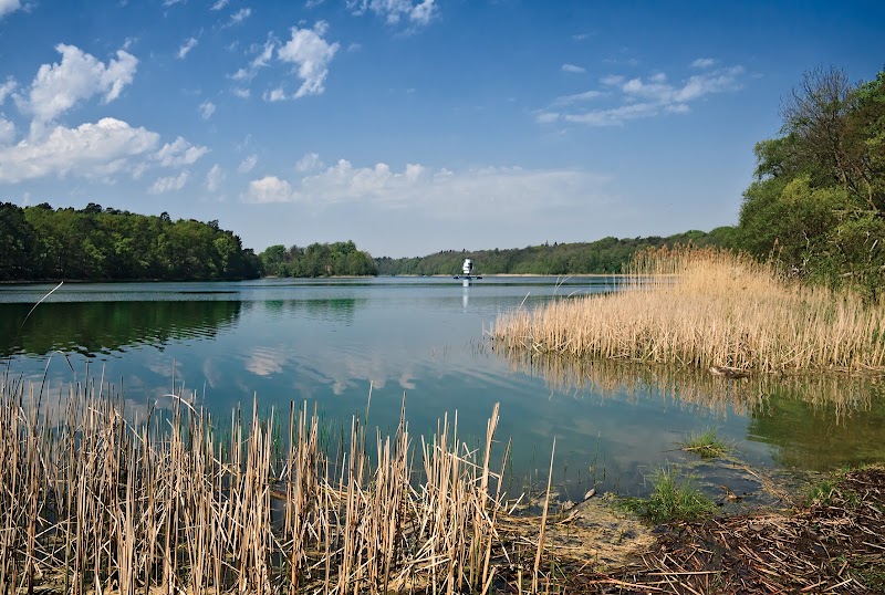Wielkopolski Park Narodowy