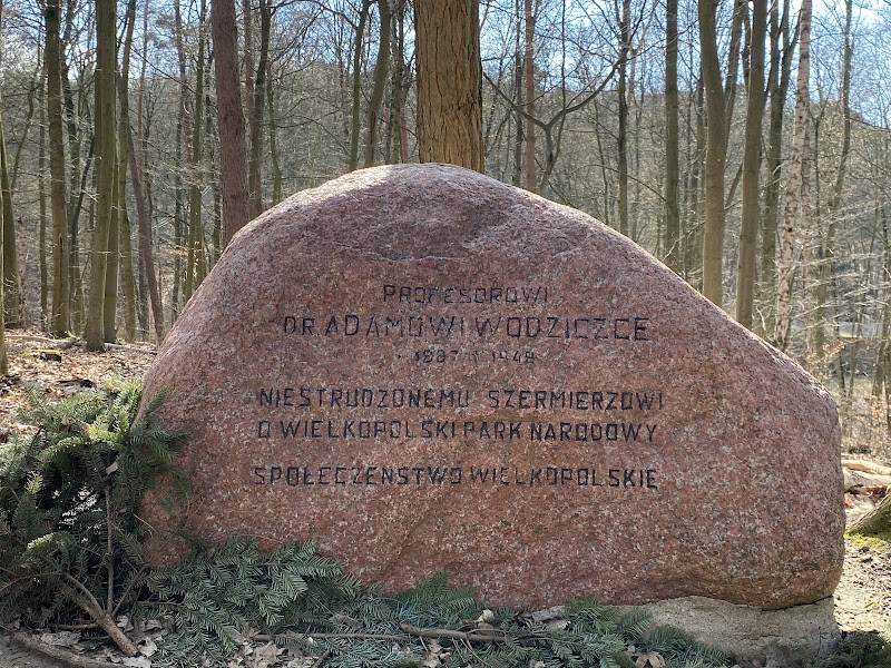 Wielkopolski Park Narodowy